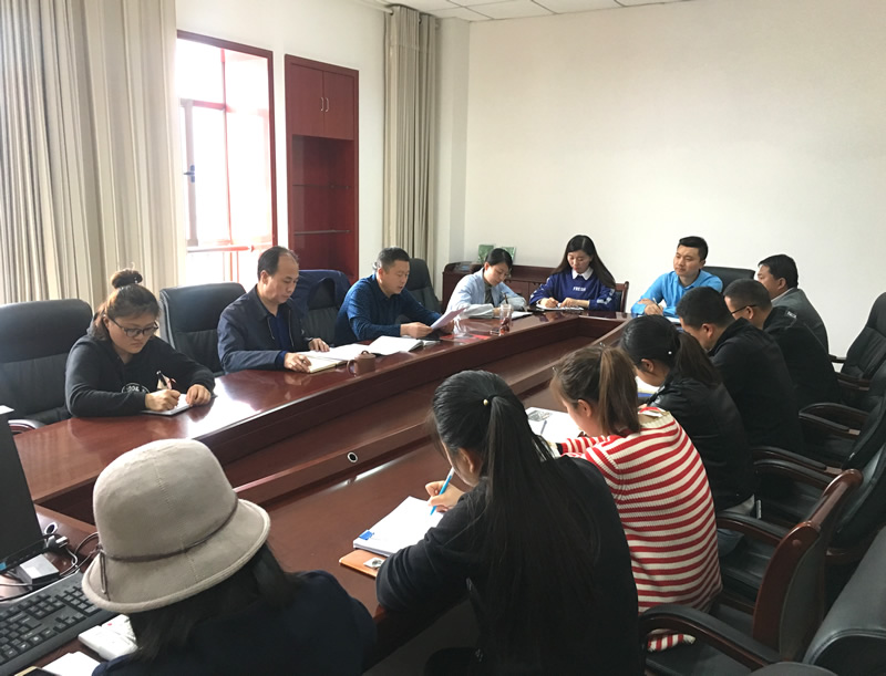 市龍江城鄉(xiāng)發(fā)展集團(tuán)專題學(xué)習(xí)近期中央、省、市紀(jì)律檢查委員會(huì)議精神